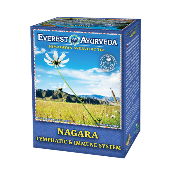 Ayurvedic cleansing herbal mixture Nagara, 100g, deacidify, intensify excretion of metabolic products, cleanse, with high uric acid